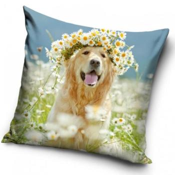 CARBOTEX Párnahuzat Golden retriever Amálka 40×40 cm kép