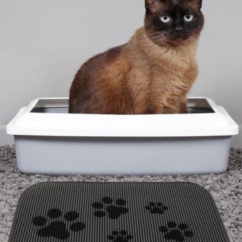 Cat Litter Mat Trace Macska alom szőnyeg Multicolor kép