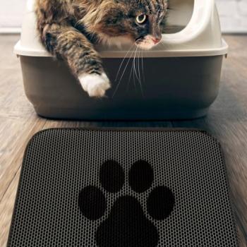 Cat Paw Mat Macska alom szőnyeg Multicolor kép