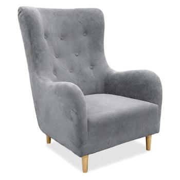 Fotel Benetto Gerra 70 dr.oo/1 szürke kép