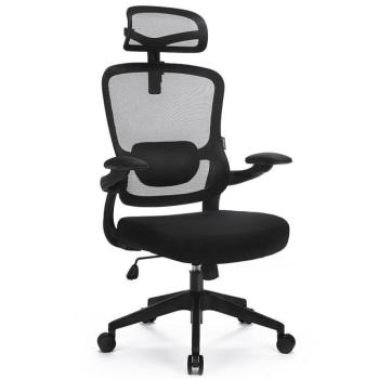 Szék Ergo Basic Lv0652 kép