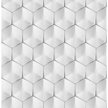 Üveg panel 60/60 Polar Hex Esg kép